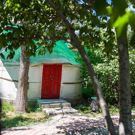 卡拉科尔 Arista Yurt Camp酒店 外观 照片